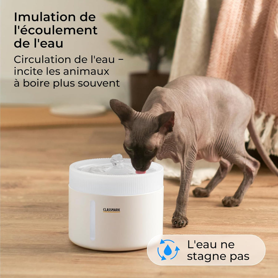 Fontaine a Eau Chat 2L Distributeur Eau Chat Couches de filtrage BLANC