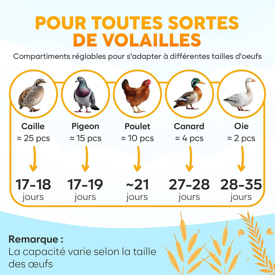 Couveuse Oeuf Automatique - Contrôle Humidité, Réglage Température, Couveuse Automatique 12/24 œufs - Incubateur Auto - Vue 360°, facile à utiliser et nettoyer