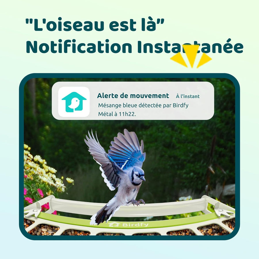 Mangeoire Oiseaux Camera pour L’Observation direct, 1080P Solaire Mangeoire Oiseaux Exterieur sans Fil, Vision Nocturne en Couleur, Notification Instantanée, Enregistrement