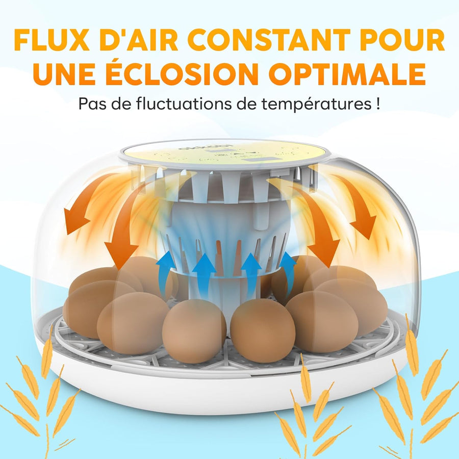 Couveuse Oeuf Automatique - Contrôle Humidité, Réglage Température, Couveuse Automatique 12/24 œufs - Incubateur Auto - Vue 360°, facile à utiliser et nettoyer