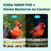 Mangeoire Oiseaux Camera pour L’Observation direct, 1080P Solaire Mangeoire Oiseaux Exterieur sans Fil, Vision Nocturne en Couleur, Notification Instantanée, Enregistrement