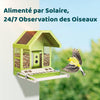 Mangeoire Oiseaux Camera pour L’Observation direct, 1080P Solaire Mangeoire Oiseaux Exterieur sans Fil, Vision Nocturne en Couleur, Notification Instantanée, Enregistrement
