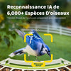 Mangeoire Oiseaux Camera pour L’Observation direct, 1080P Solaire Mangeoire Oiseaux Exterieur sans Fil, Vision Nocturne en Couleur, Notification Instantanée, Enregistrement
