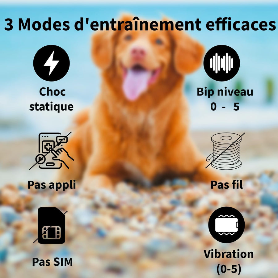 Clôture électrique sans Fil GPS pour Chien, clôture Intelligente de 4e génération, portée de 33 à 1999 m, système Anti-Fugue contrôlé par IA, étanchéité IPX7, clôture électrique pour Chien