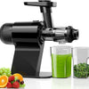 Presse-Agrumes à Froid Presse-Agrumes à Mastiquer Fonction Inversion Moteur Silencieux NOIR