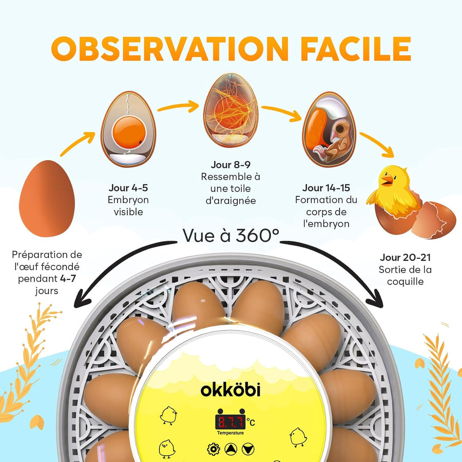 Couveuse Oeuf Automatique - Contrôle Humidité, Réglage Température, Couveuse Automatique 12/24 œufs - Incubateur Auto - Vue 360°, facile à utiliser et nettoyer
