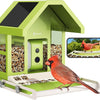 Mangeoire Oiseaux Camera pour L’Observation direct, 1080P Solaire Mangeoire Oiseaux Exterieur sans Fil, Vision Nocturne en Couleur, Notification Instantanée, Enregistrement