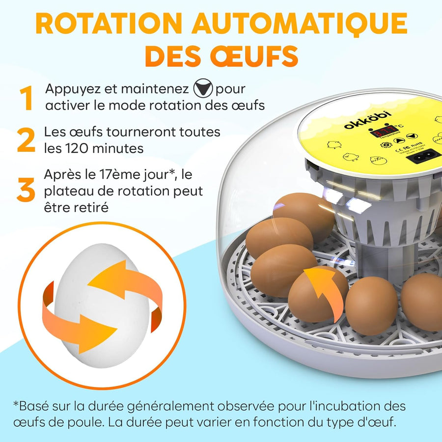 Couveuse Oeuf Automatique - Contrôle Humidité, Réglage Température, Couveuse Automatique 12/24 œufs - Incubateur Auto - Vue 360°, facile à utiliser et nettoyer