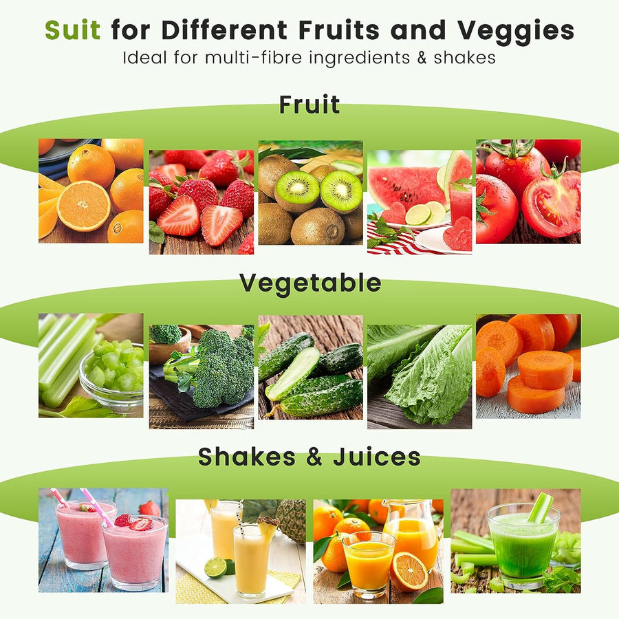 Presse-Agrumes à Froid Presse-Agrumes à Mastiquer Fonction Inversion Moteur Silencieux NOIR