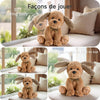 Jouet Peluche électronique Chien pour Enfants, électronique Doux Chien de Compagnie Chanteur d'oreilles, Répète ce Que tu dis Peluches et Animaux Interactifs