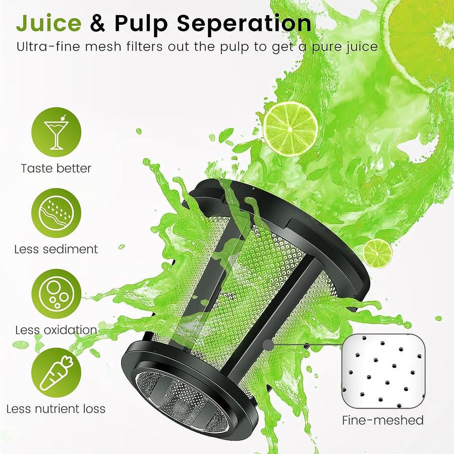 Presse-Agrumes à Froid Presse-Agrumes à Mastiquer Fonction Inversion Moteur Silencieux NOIR