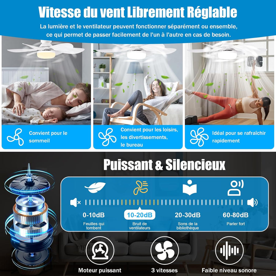 Ventilateur de Plafond avec Lumière et Telecommande, 40W Dimmable LED Douille E27, Lustre Ventilateur de Plafond, 6 Pales,3 Vitesses,Timing