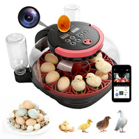 Couveuse Oeuf Automatique - Incubateur oeuf 12 œufs - Avec retournement automatique des œufs et contrôle de l'humidité et de la température - Lampe à œufs pour œufs de poule - Visualisation