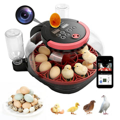 Couveuse Oeuf Automatique - Incubateur oeuf 12 œufs - Avec retournement automatique des œufs et contrôle de l'humidité et de la température - Lampe à œufs pour œufs de poule - Visualisation