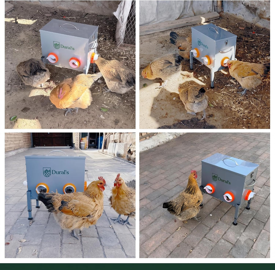Mangeoire Poules Anti-Nuisible Grande Capacité 18 kg / 30 L – Distributeur de Graines Automatique Acier Galvanisé, 6 Ports & Fenêtre de Niveau – Mangeoire Poule Extérieur Poulailler