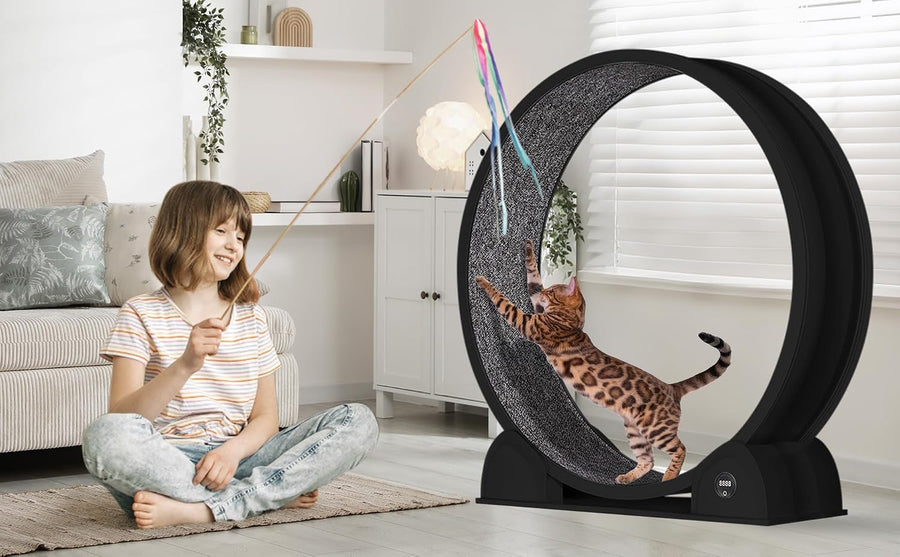 Roue d'exercice pour Chats d'intérieur, Design Silencieux, Bois Naturel Extra Large, Piste Tapis de 320 cm, Amovible avec podomètre Intelligent, idéal pour Courir et Marcher