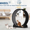 Roue d'exercice pour Chats d'intérieur, Design Silencieux, Bois Naturel Extra Large, Piste Tapis de 320 cm, Amovible avec podomètre Intelligent, idéal pour Courir et Marcher