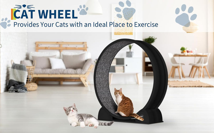 Roue d'exercice pour Chats d'intérieur, Design Silencieux, Bois Naturel Extra Large, Piste Tapis de 320 cm, Amovible avec podomètre Intelligent, idéal pour Courir et Marcher