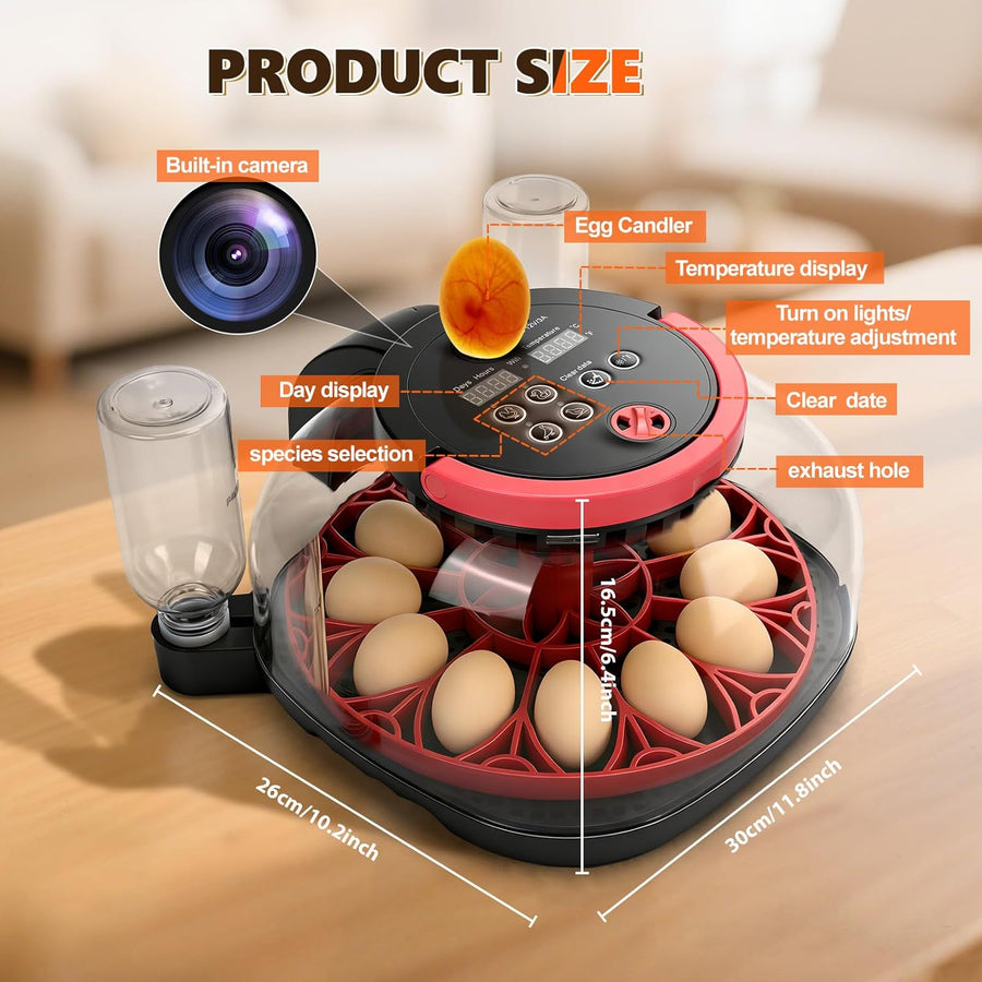 Couveuse Oeuf Automatique - Incubateur oeuf 12 œufs - Avec retournement automatique des œufs et contrôle de l'humidité et de la température - Lampe à œufs pour œufs de poule - Visualisation