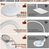 Lampe Esthetique Professionnel, 2500 Lumens, col de Cygne Flexible, Intensité Réglable en Continu, Lampadaire Loupe LED
