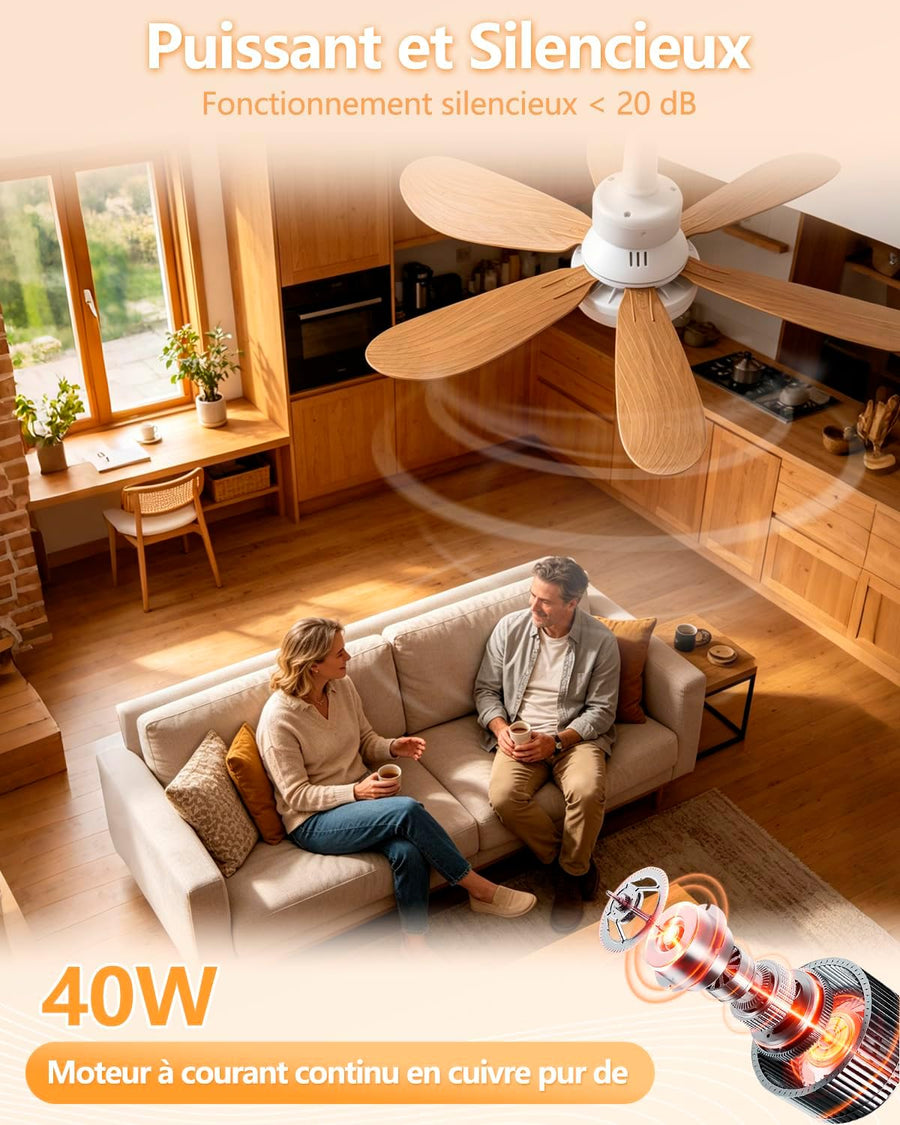 Ventilateur de Plafond avec Lumière, 52CM 40W Petit Ventilateur, avec 2 Jeux de Pales, Douille E27, Silencieux, 3 Vitesses, Telecommande, Zeitgesteuert, Dimmable LED pour Salon Chambre