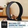 Roue d'exercice pour Chats d'intérieur, Design Silencieux, Bois Naturel Extra Large, Piste Tapis de 320 cm, Amovible avec podomètre Intelligent, idéal pour Courir et Marcher
