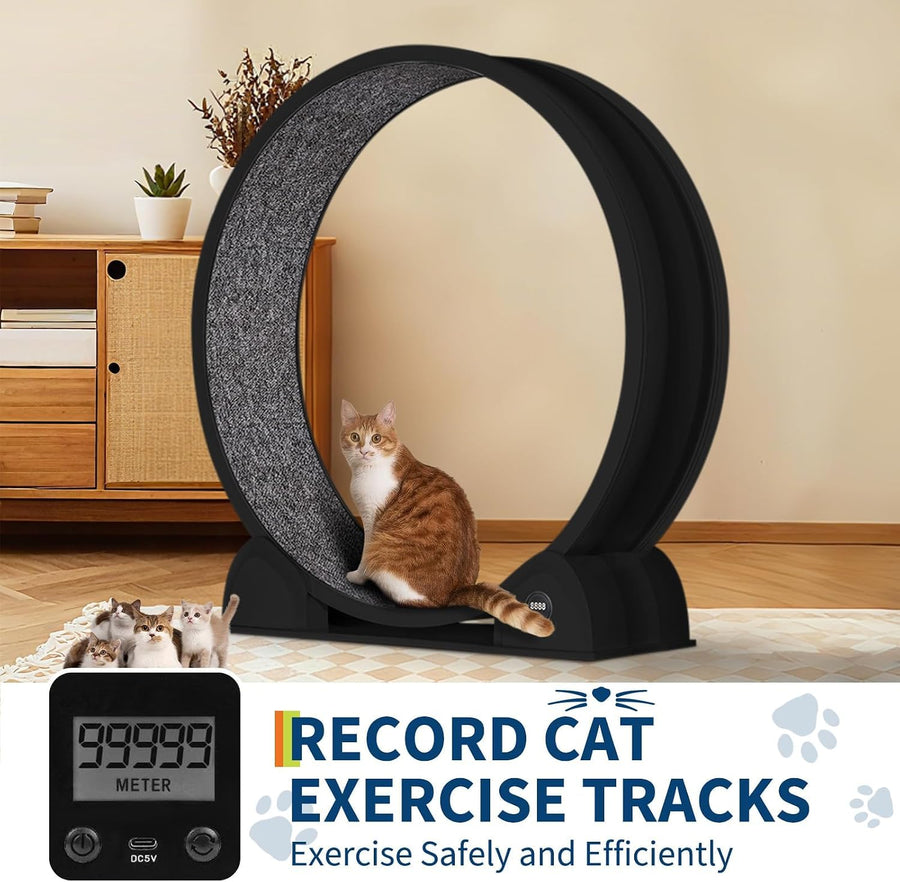 Roue d'exercice pour Chats d'intérieur, Design Silencieux, Bois Naturel Extra Large, Piste Tapis de 320 cm, Amovible avec podomètre Intelligent, idéal pour Courir et Marcher