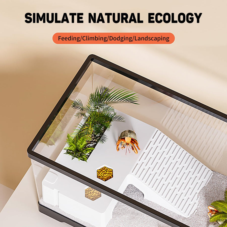 Aquarium 24" x 10" x 11", Terrarium pour Reptiles de 11 gallons avec Zone ensoleillée et Drainage au Sol, Habitat pour Jeunes Tortues, écrevisses, crabes, Amphibiens