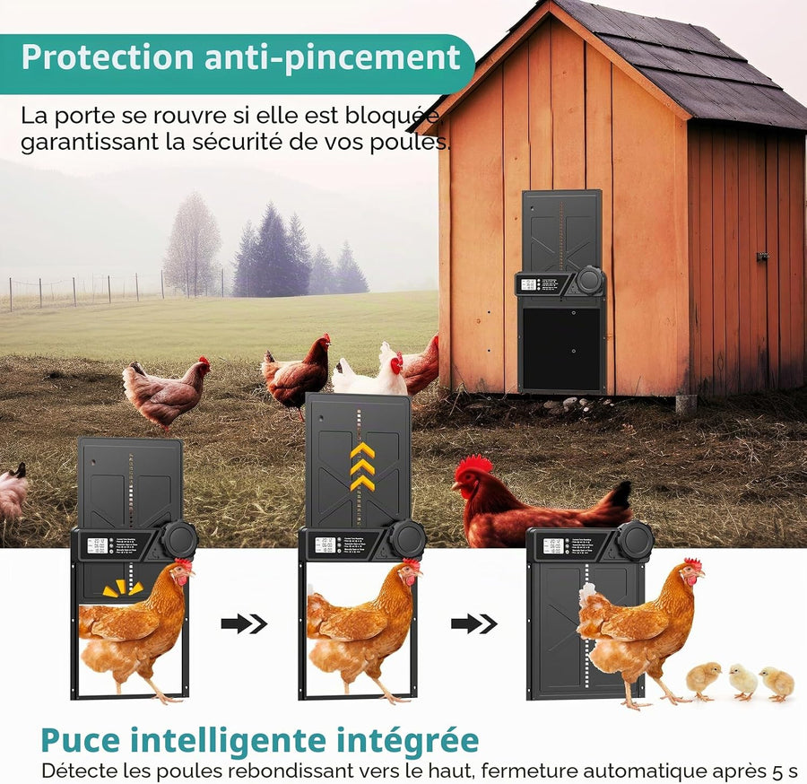 Porte Automatique pour Poulailler à PilesMinuterie | Minuterie, Fonction Anti-pincement, Écran LCD Étanche