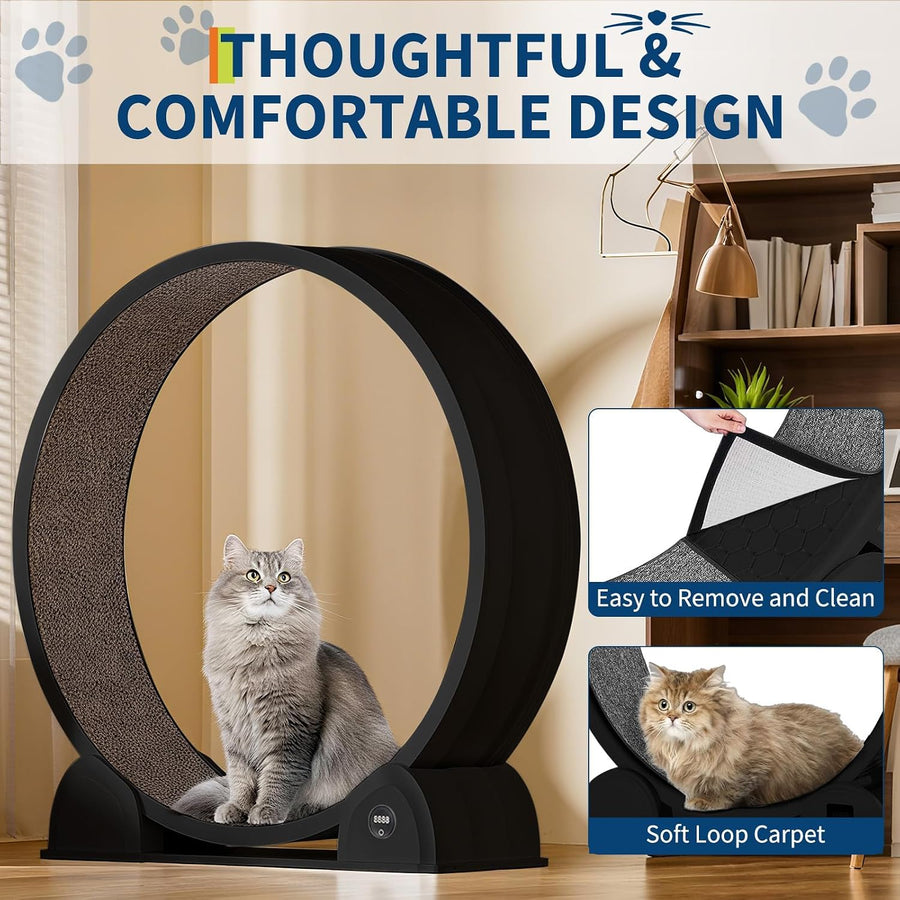 Roue d'exercice pour Chats d'intérieur, Design Silencieux, Bois Naturel Extra Large, Piste Tapis de 320 cm, Amovible avec podomètre Intelligent, idéal pour Courir et Marcher