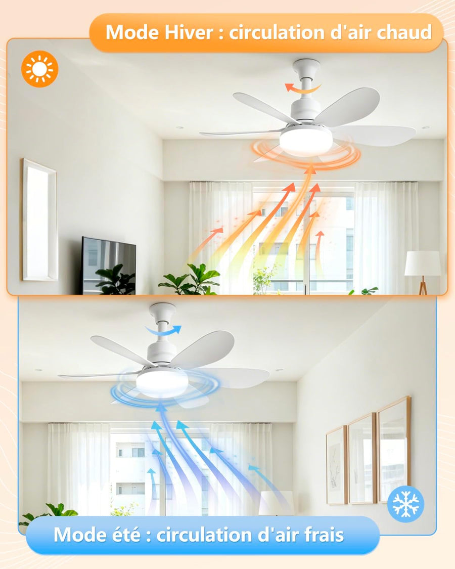 Ventilateur de Plafond avec Lumière, 52CM 40W Petit Ventilateur, avec 2 Jeux de Pales, Douille E27, Silencieux, 3 Vitesses, Telecommande, Zeitgesteuert, Dimmable LED pour Salon Chambre