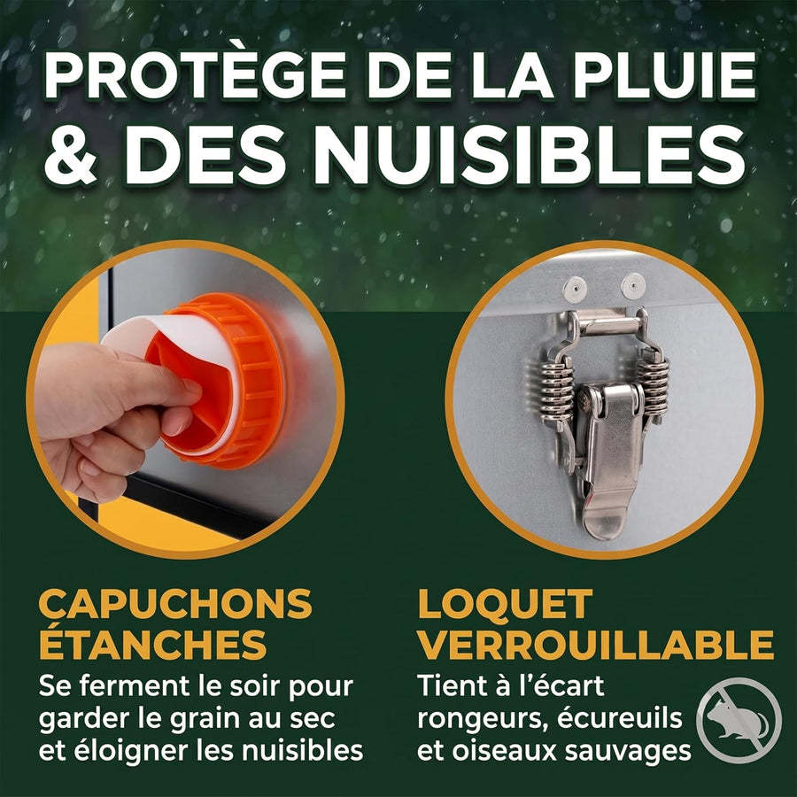 Mangeoire Poules Anti-Nuisible Grande Capacité 18 kg / 30 L – Distributeur de Graines Automatique Acier Galvanisé, 6 Ports & Fenêtre de Niveau – Mangeoire Poule Extérieur Poulailler