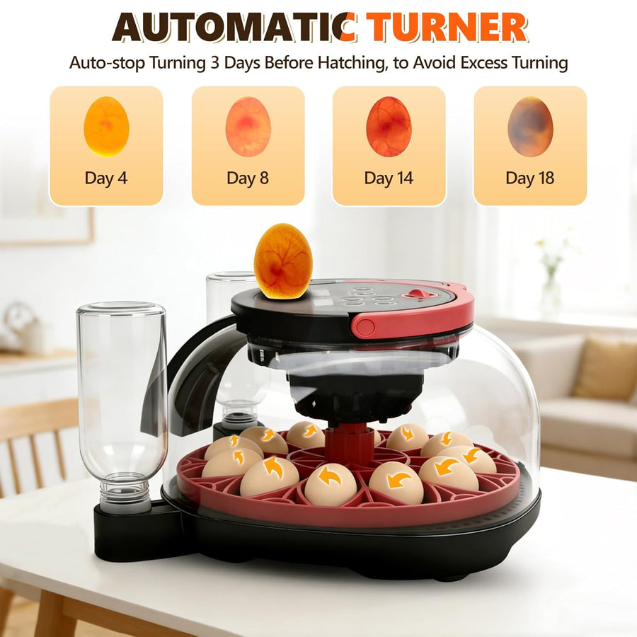 Couveuse Oeuf Automatique - Incubateur oeuf 12 œufs - Avec retournement automatique des œufs et contrôle de l'humidité et de la température - Lampe à œufs pour œufs de poule - Visualisation