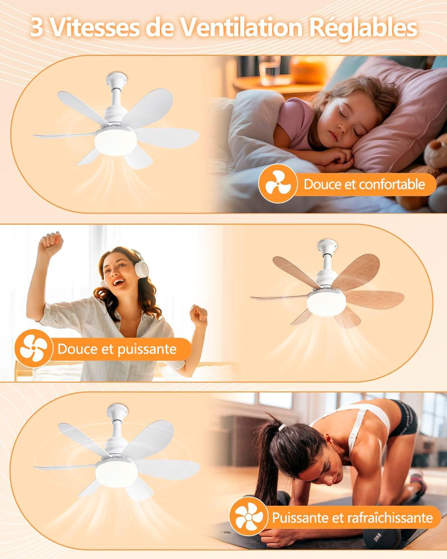 Ventilateur de Plafond avec Lumière, 52CM 40W Petit Ventilateur, avec 2 Jeux de Pales, Douille E27, Silencieux, 3 Vitesses, Telecommande, Zeitgesteuert, Dimmable LED pour Salon Chambre
