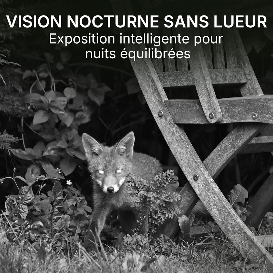 GardePro E8 2.0 Pro 4K Camera de Chasse WiFi, Batterie de 7800 mAh | Portée WiFi de 50 Mètres, 64MP Caméra de Chasse Connectée Telephone, Camera Vision Nocturne Animaux Exterieur