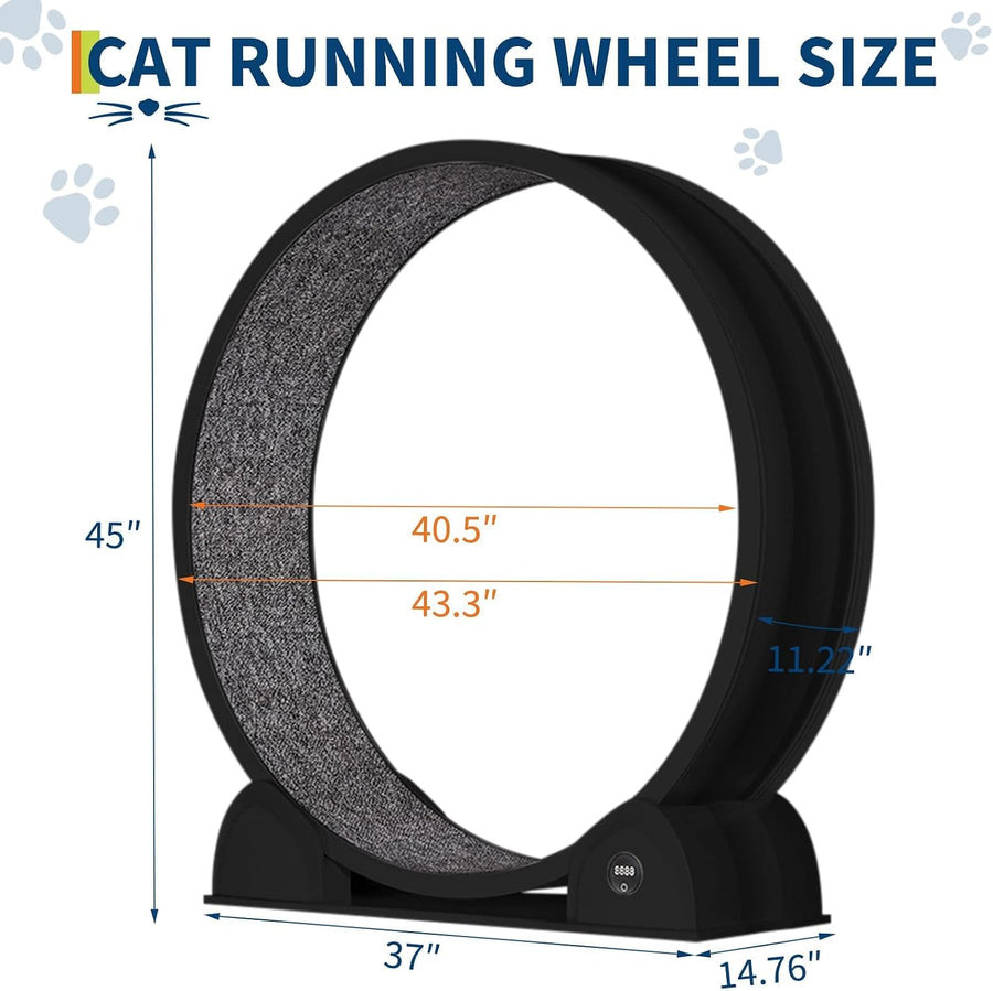 Roue d'exercice pour Chats d'intérieur, Design Silencieux, Bois Naturel Extra Large, Piste Tapis de 320 cm, Amovible avec podomètre Intelligent, idéal pour Courir et Marcher