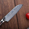 Ensemble Couteau de Cuisine Professionnel Japonais Damas Lame Acier Carbone Inoxydable