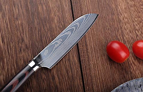 Couteau de Cuisine Professionnel Japonais Damas Petit Santoku Lame 13cm Acier Carbone Inoxydable