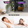 Lampe Horticole 150W, P600 Lampe Plante Interieur LED Spectre Complet, IP67 ETanche, Grow Light pour Une Culture Tout Au Long De L'AnnéE Avec Un éClairage De 270° - LumièRe Rose