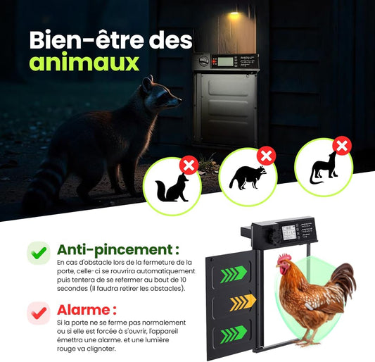 Porte Poulailler Automatique Solaire Capteur de Lumière Anti-pincement Télécommande Batterie 7 Modes Ouverture Alarme Thermomètre/Hygromètre Connecté Inclus NOIR