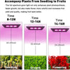 Lampe Horticole 150W, P600 Lampe Plante Interieur LED Spectre Complet, IP67 ETanche, Grow Light pour Une Culture Tout Au Long De L'AnnéE Avec Un éClairage De 270° - LumièRe Rose