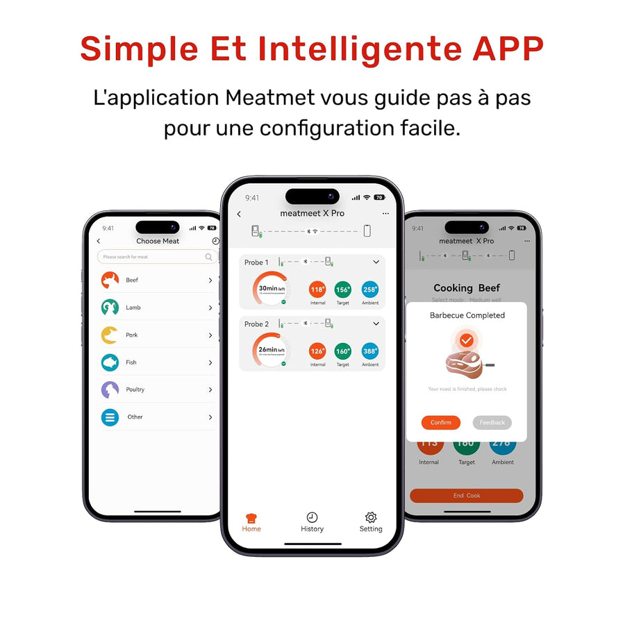 Thermomètre à viande sans fil avec Bluetooth et Wi-Fi, 2 sondes, 6 capteurs