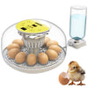 Couveuse Oeuf Automatique - Contrôle Humidité, Réglage Température, Couveuse Automatique 12/24 œufs - Incubateur Auto - Vue 360°, facile à utiliser et nettoyer