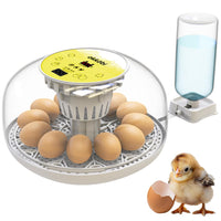 Couveuse Oeuf Automatique - Contrôle Humidité, Réglage Température, Couveuse Automatique 12/24 œufs - Incubateur Auto - Vue 360°, facile à utiliser et nettoyer