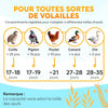 Couveuse Oeuf Automatique 12 Oeufs – Rotation automatique des oeufs + Contrôle humidité + Température réglable + Mire-œuf intégré + Incubateur Oeuf Automatique + Affichage LED
