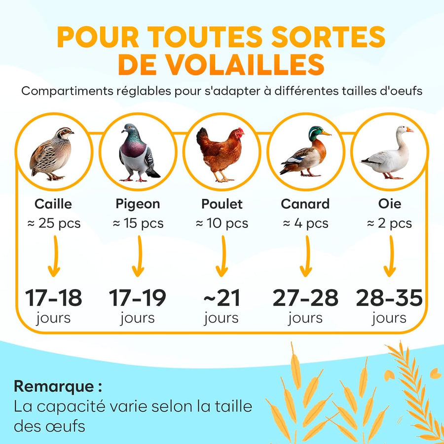 Couveuse Oeuf Automatique 12 Oeufs – Rotation automatique des oeufs + Contrôle humidité + Température réglable + Mire-œuf intégré + Incubateur Oeuf Automatique + Affichage LED