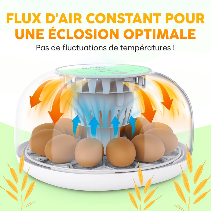 M12 Couveuse Oeuf Automatique - Contrôle Humidité, Réglage Température, Couveuse Automatique 12/24 œufs - Incubateur Auto - Vue 360°, facile à utiliser et nettoyer - Blanc et vert