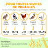M12 Couveuse Oeuf Automatique - Contrôle Humidité, Réglage Température, Couveuse Automatique 12/24 œufs - Incubateur Auto - Vue 360°, facile à utiliser et nettoyer - Blanc et Orange