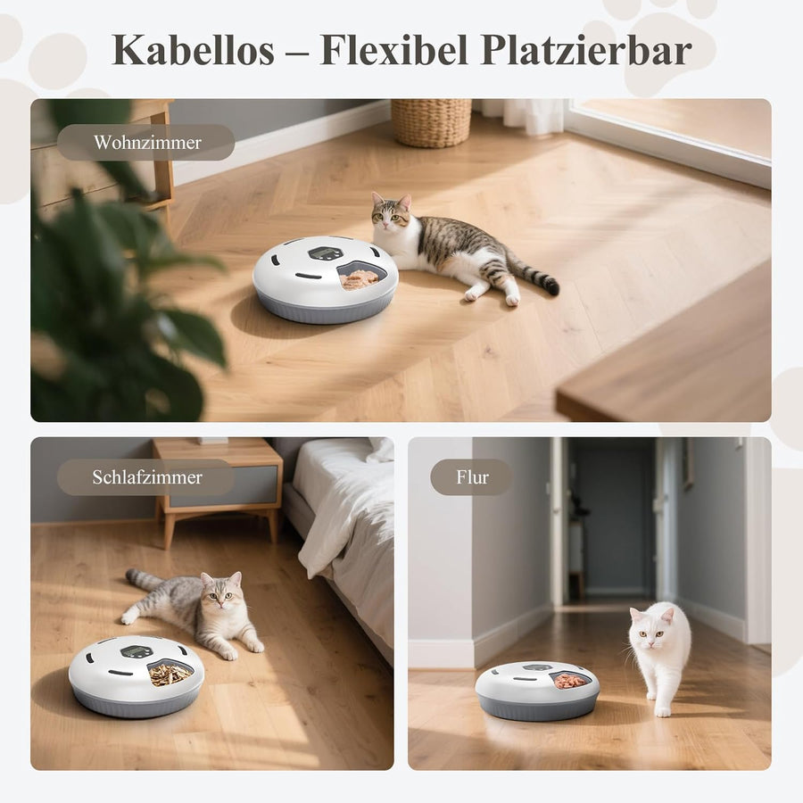 Distributeur automatique de nourriture humide pour chat avec refroidissement : distributeur automatique de nourriture humide pour chats, à piles - 6 repas pour animaux de compagnie