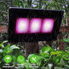 Lampe Horticole 150W, P600 Lampe Plante Interieur LED Spectre Complet, IP67 ETanche, Grow Light pour Une Culture Tout Au Long De L'AnnéE Avec Un éClairage De 270° - LumièRe Rose